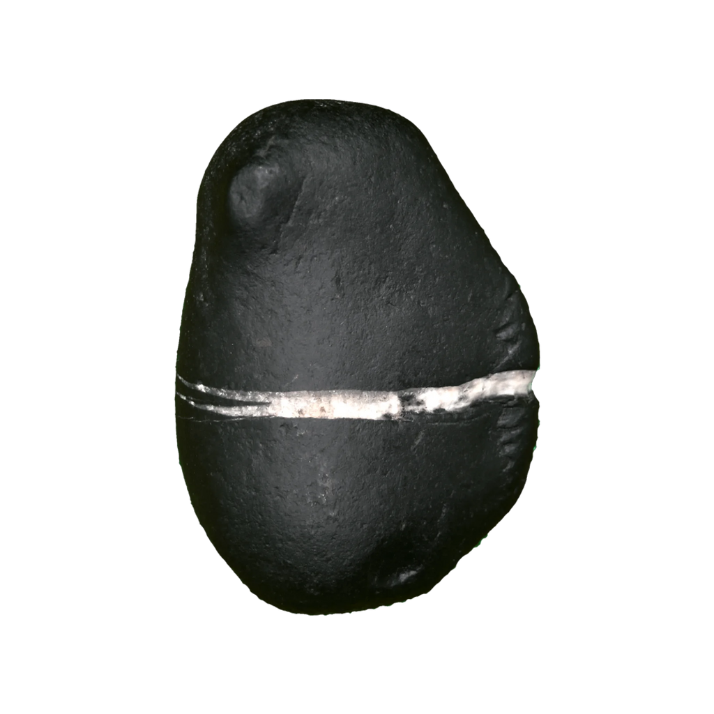 Janardhan Shaligram