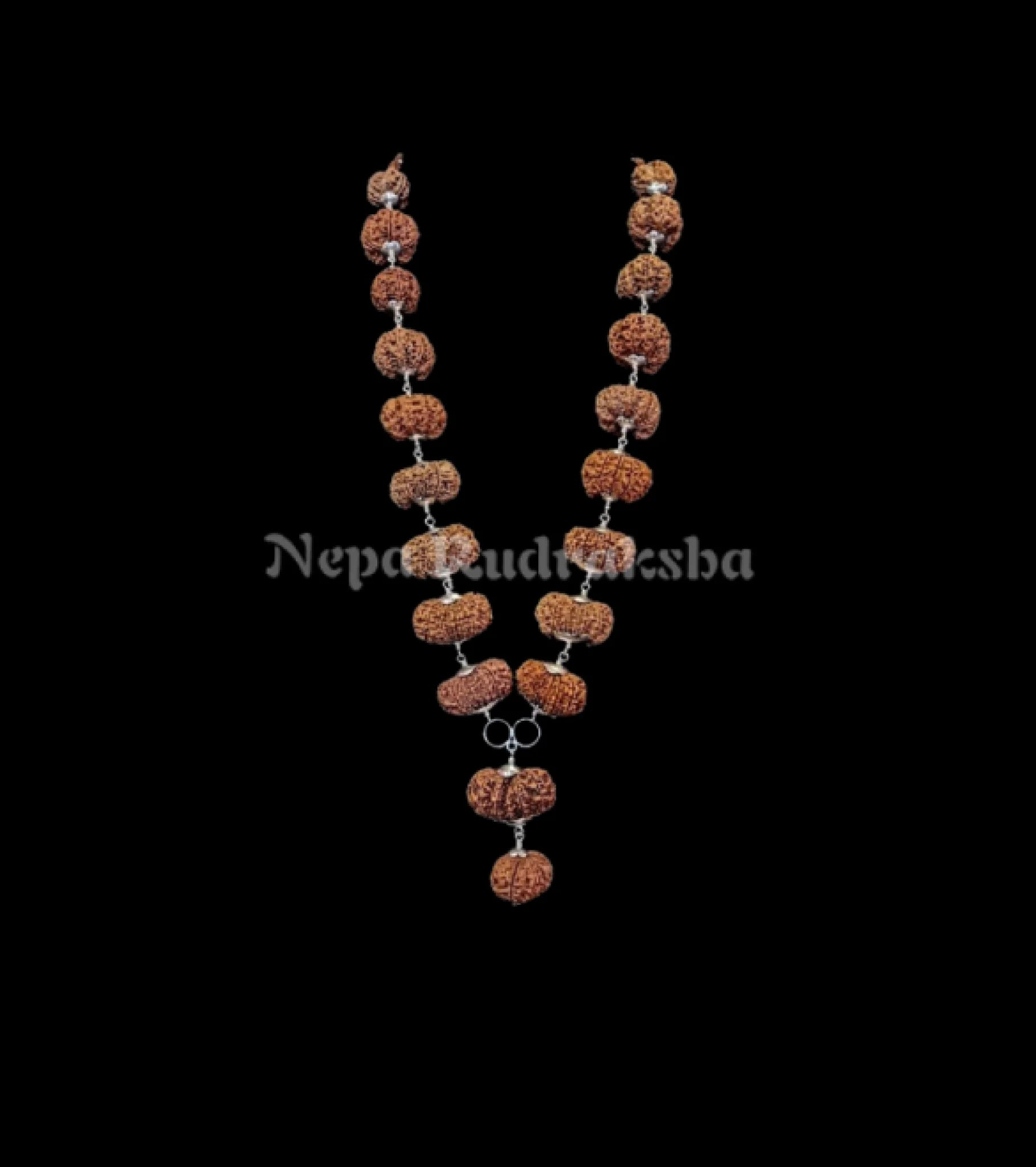 Buy Nepali Siddha mala (1 to 14 Mukhi) 100% X-Ray Certified Authentic