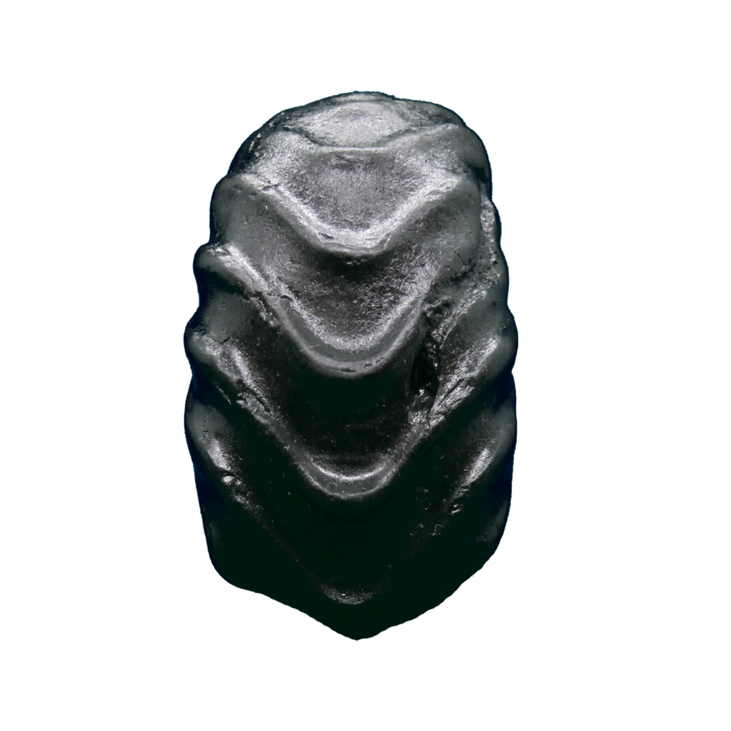 Laxmi Shaligram