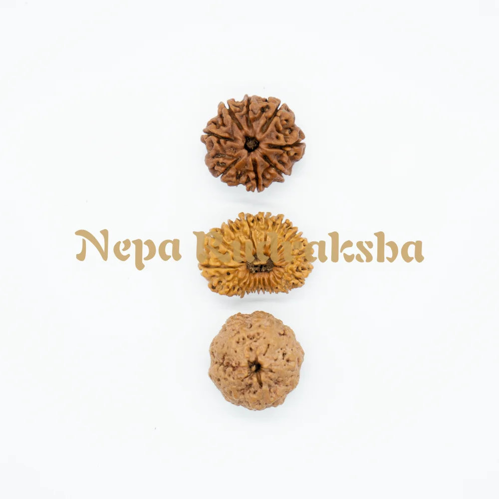 Maha Mrityunjaya Combination