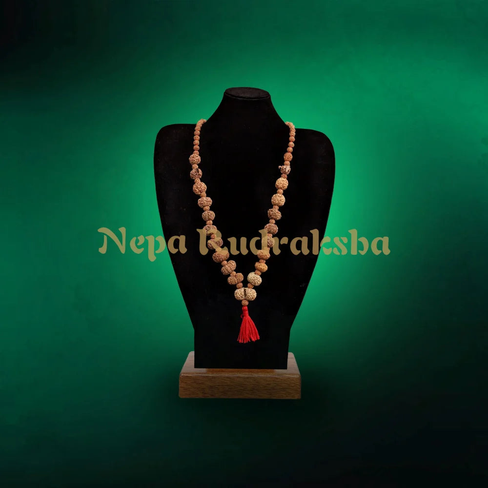 Maha MrityunJaya Siddha Mala