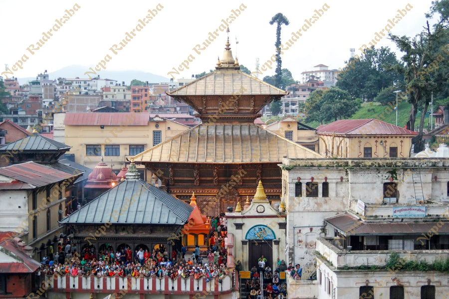 Maha Shivaratri Pooja at Pashupatinath - 2027