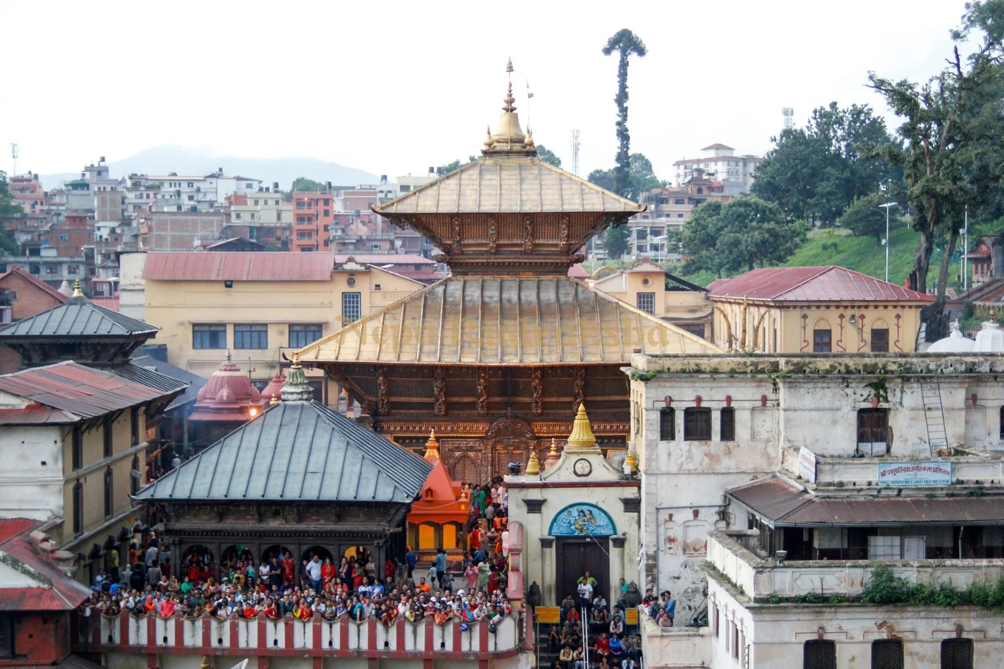 Maha Shivaratri Pooja at Pashupatinath