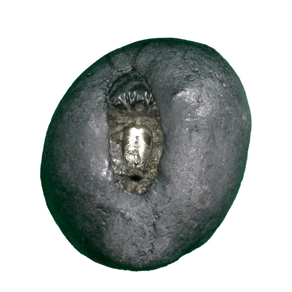 Maha Vishnu Shaligram