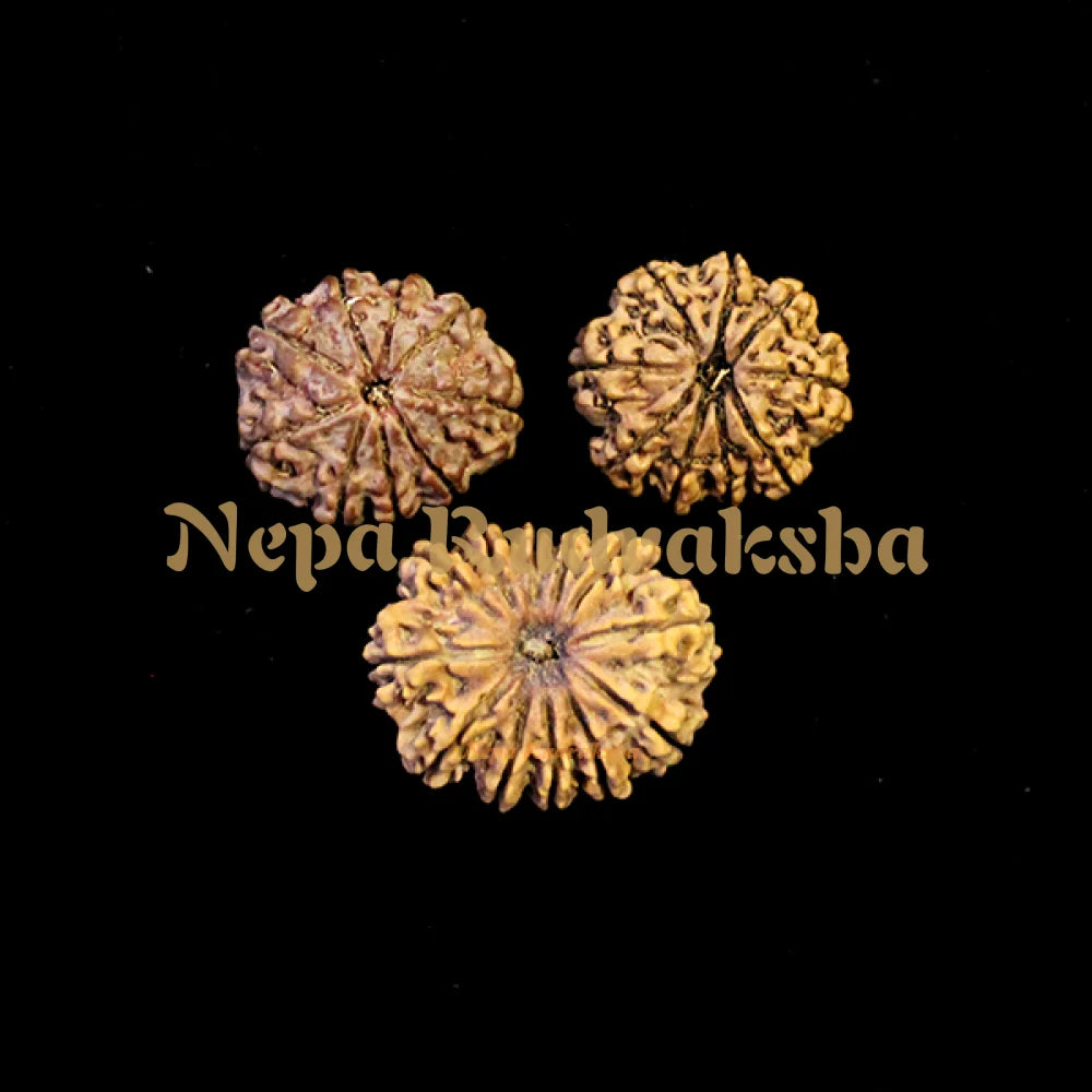 Mangal Dosha Shanti Combination