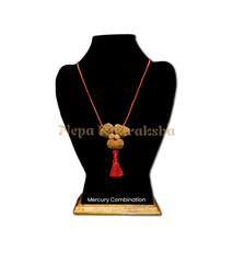 Mercury (Budha) Combination