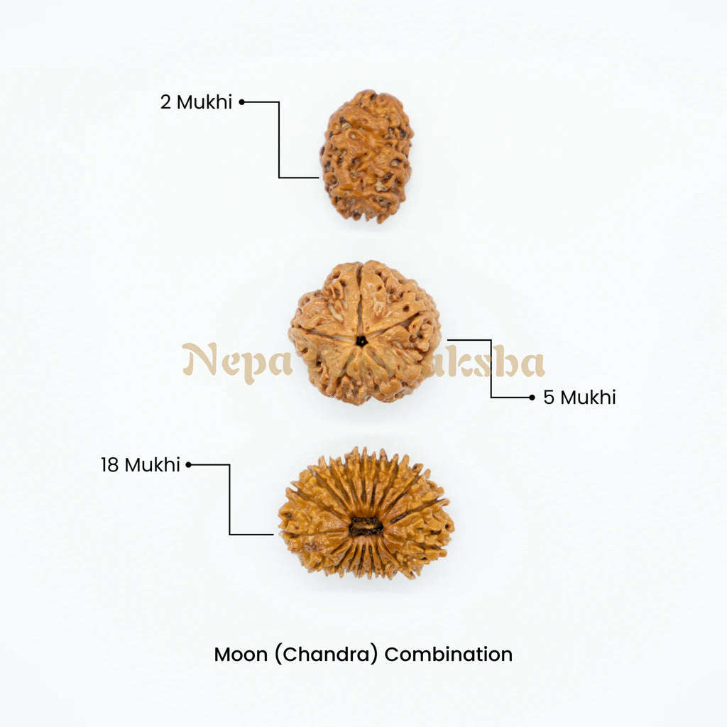 Moon (Chandra) Combination