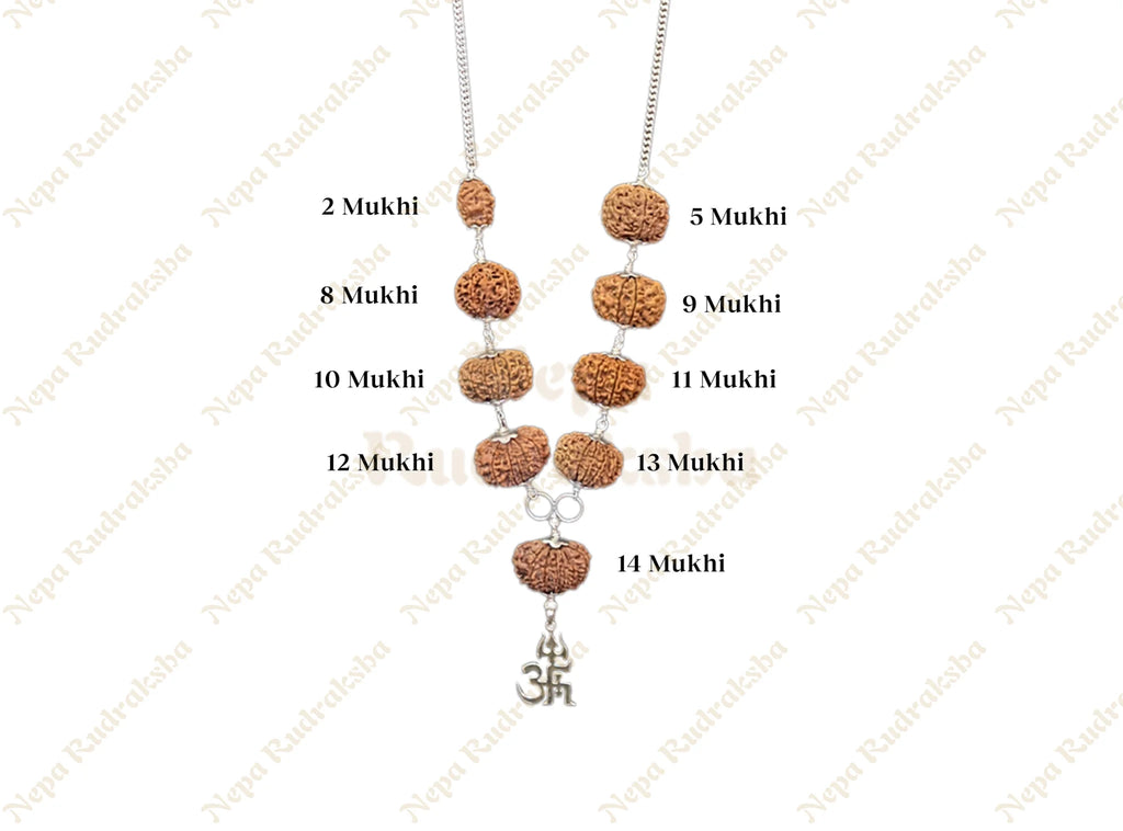 Navagraha Shanti Combination