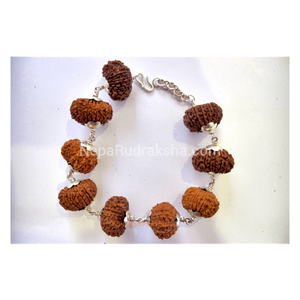 Nepali Fourteen Mukhi Bracelet