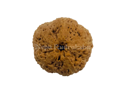 Nirakar (0 Mukhi) Round
