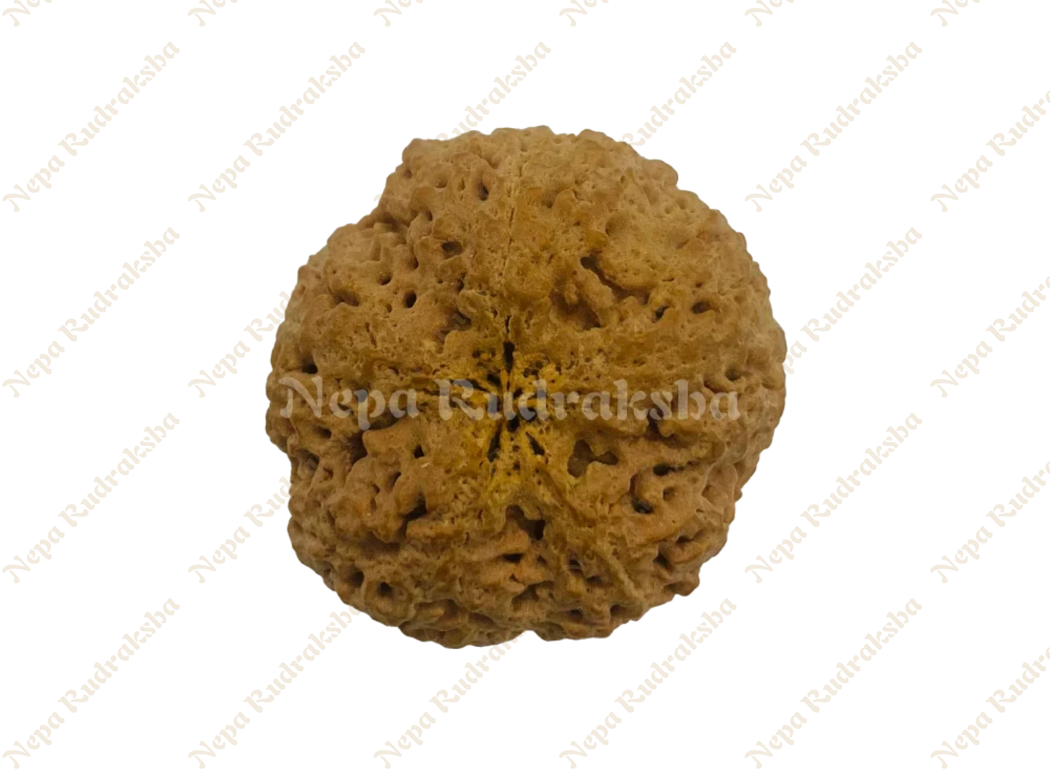 Nirakar (0 Mukhi) Round