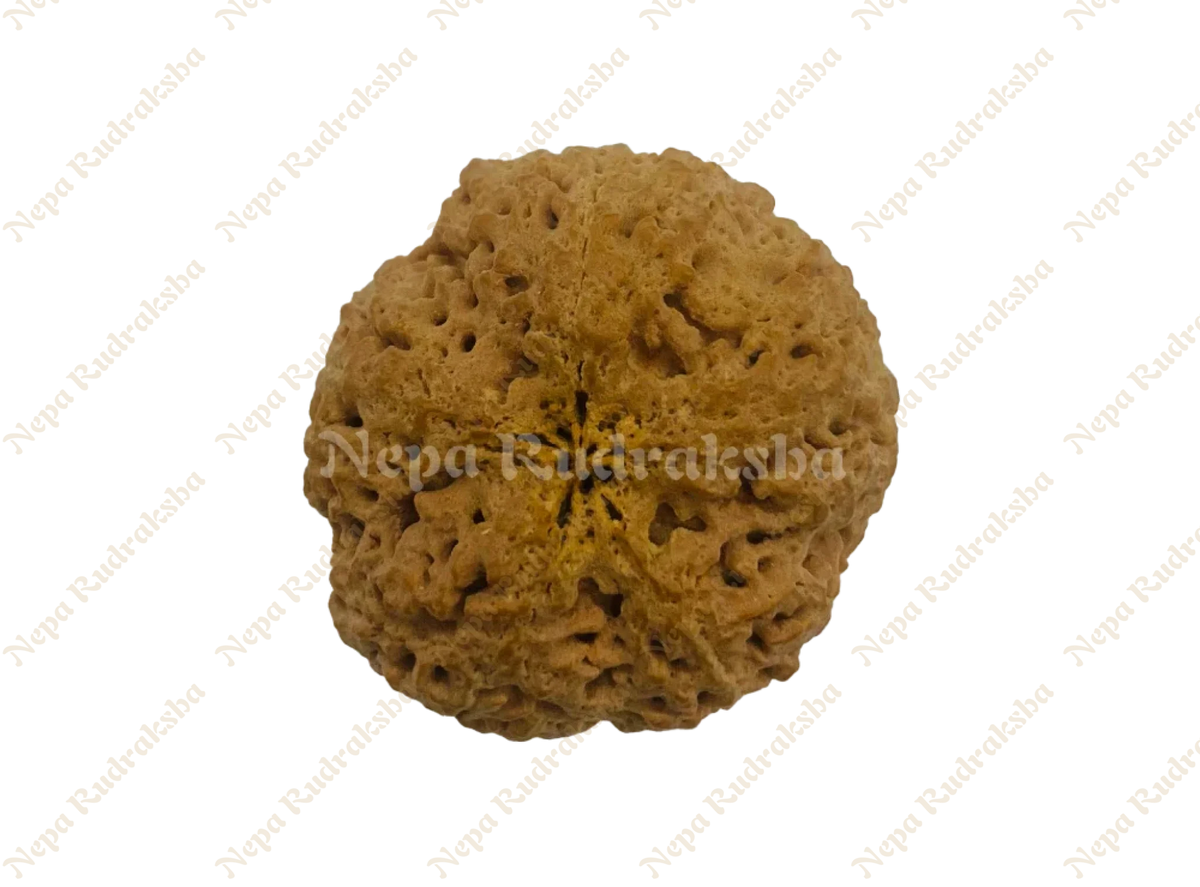 Nirakar (0 Mukhi) Round