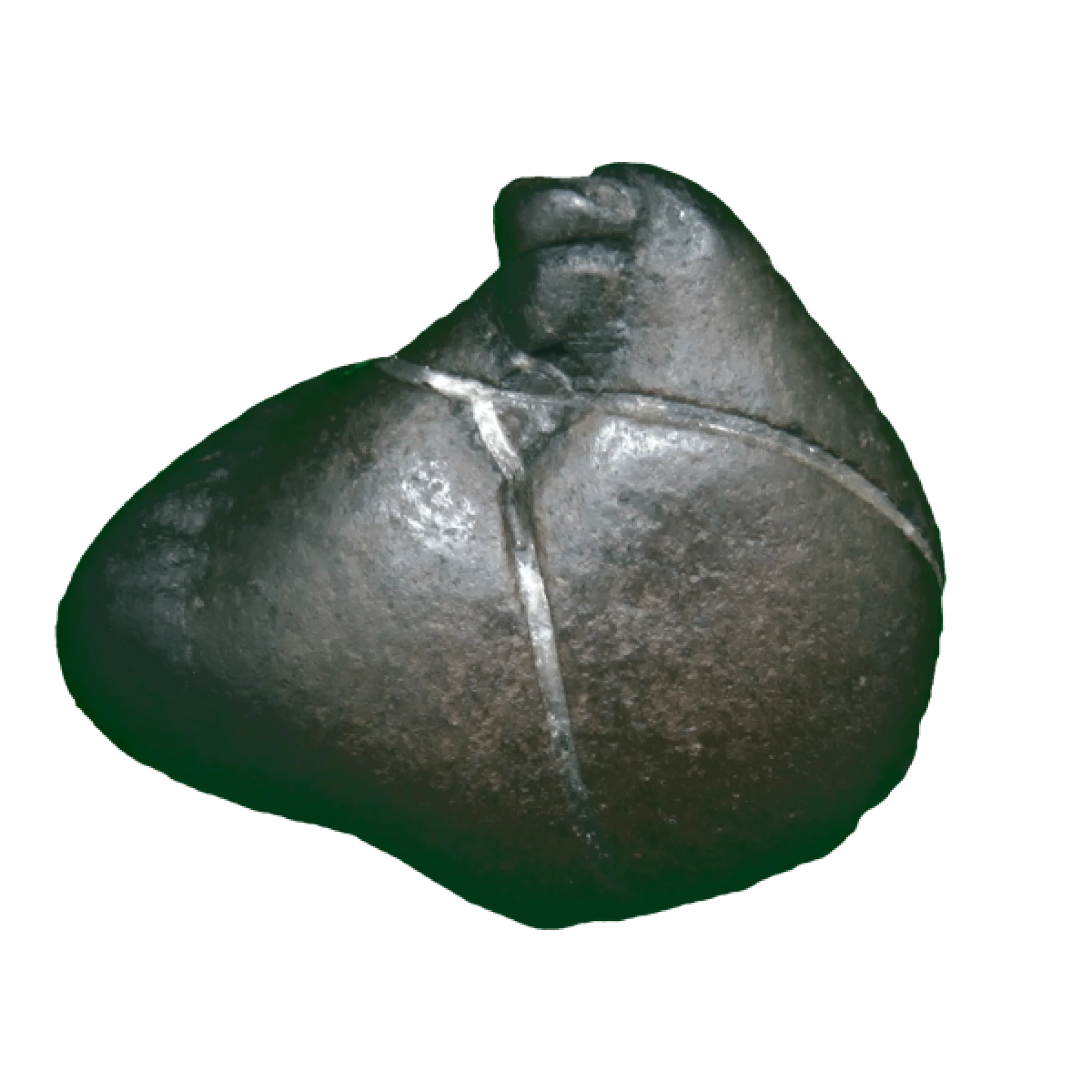 Parashurama Shaligram