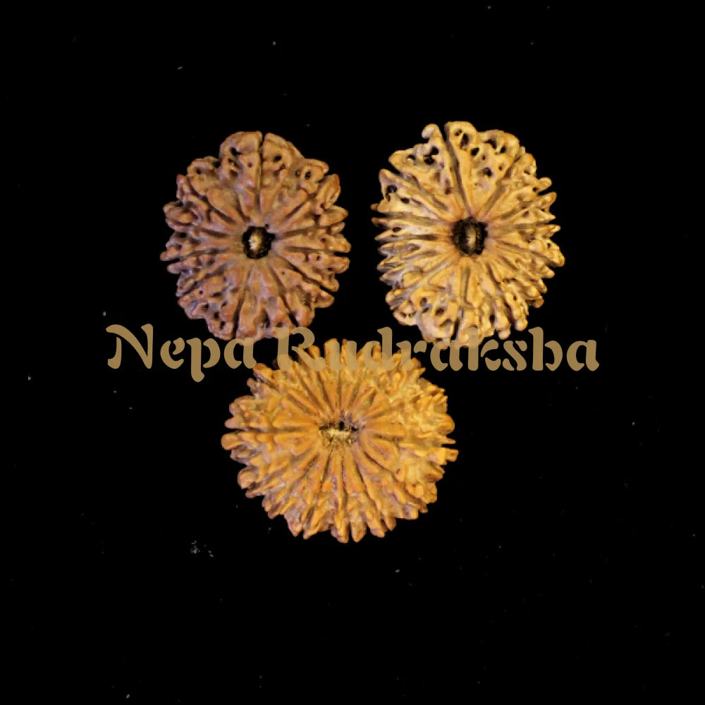 Rajya Laxmi Combination (Government and administration)