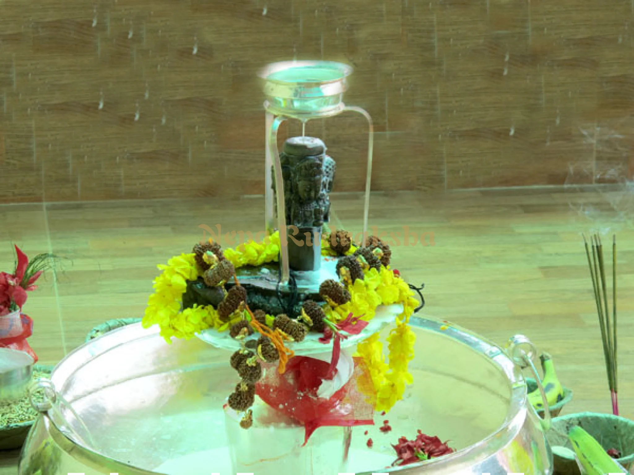 Rudraksha Prana Pratishtha Pooja