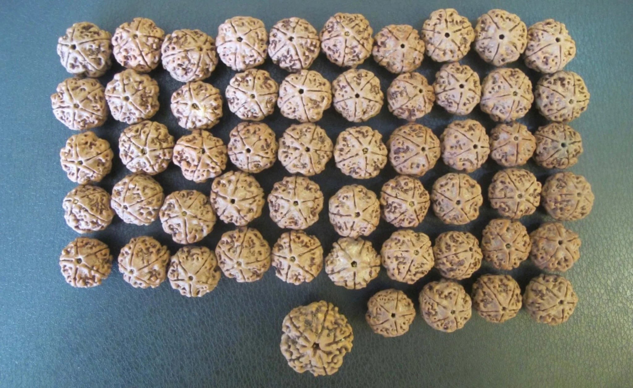 Rudraksha Water Therapy Beads