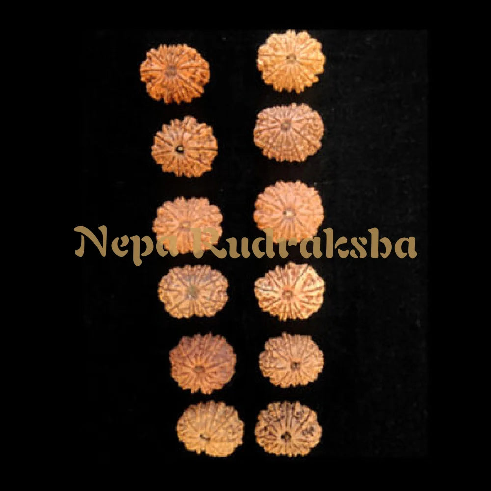 Samast Paap Nashak Combination (Sin Purification)