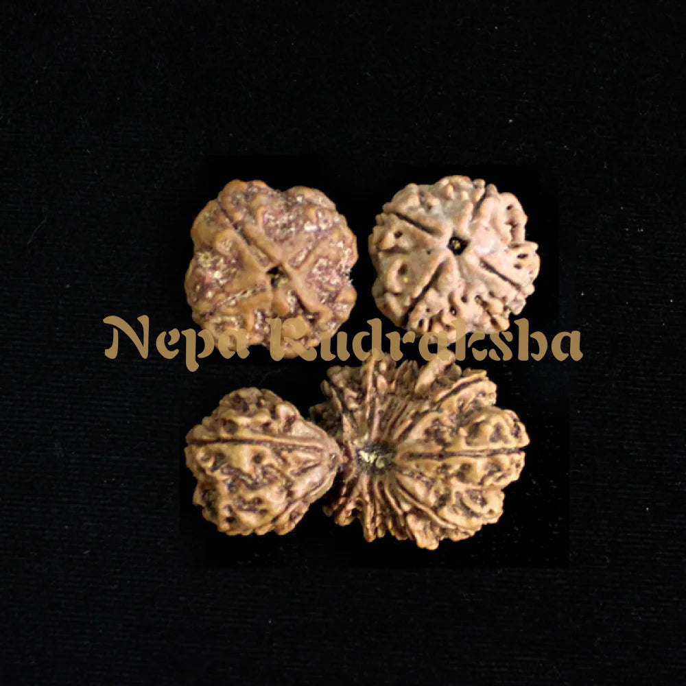 Sanatana Laxmi Combination (Birth Support)