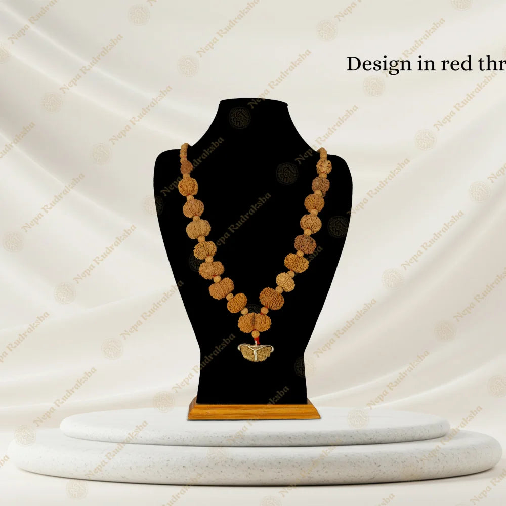 Regular / One Mukhi Moon Shape (India) / On Red Thread