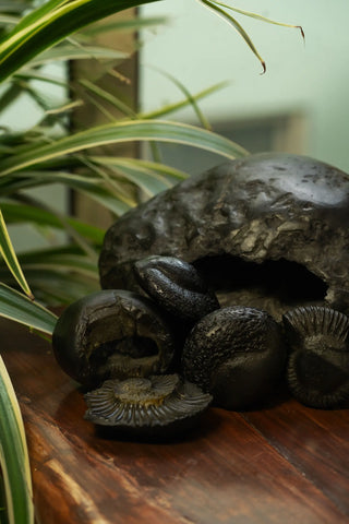 Shaligram