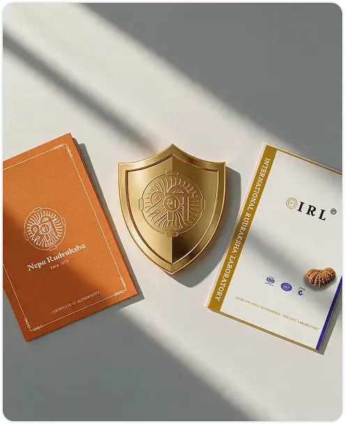 100% Lifetime Money Back
