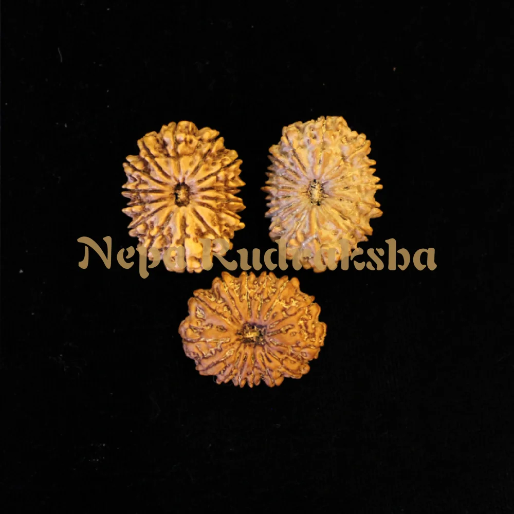 Shiva Mrityunjaya Combination (Health and Stress)