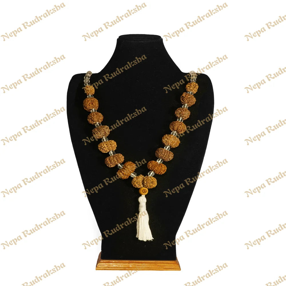 No One Mukhi / Collector ($3300) / Sphatik with Thread