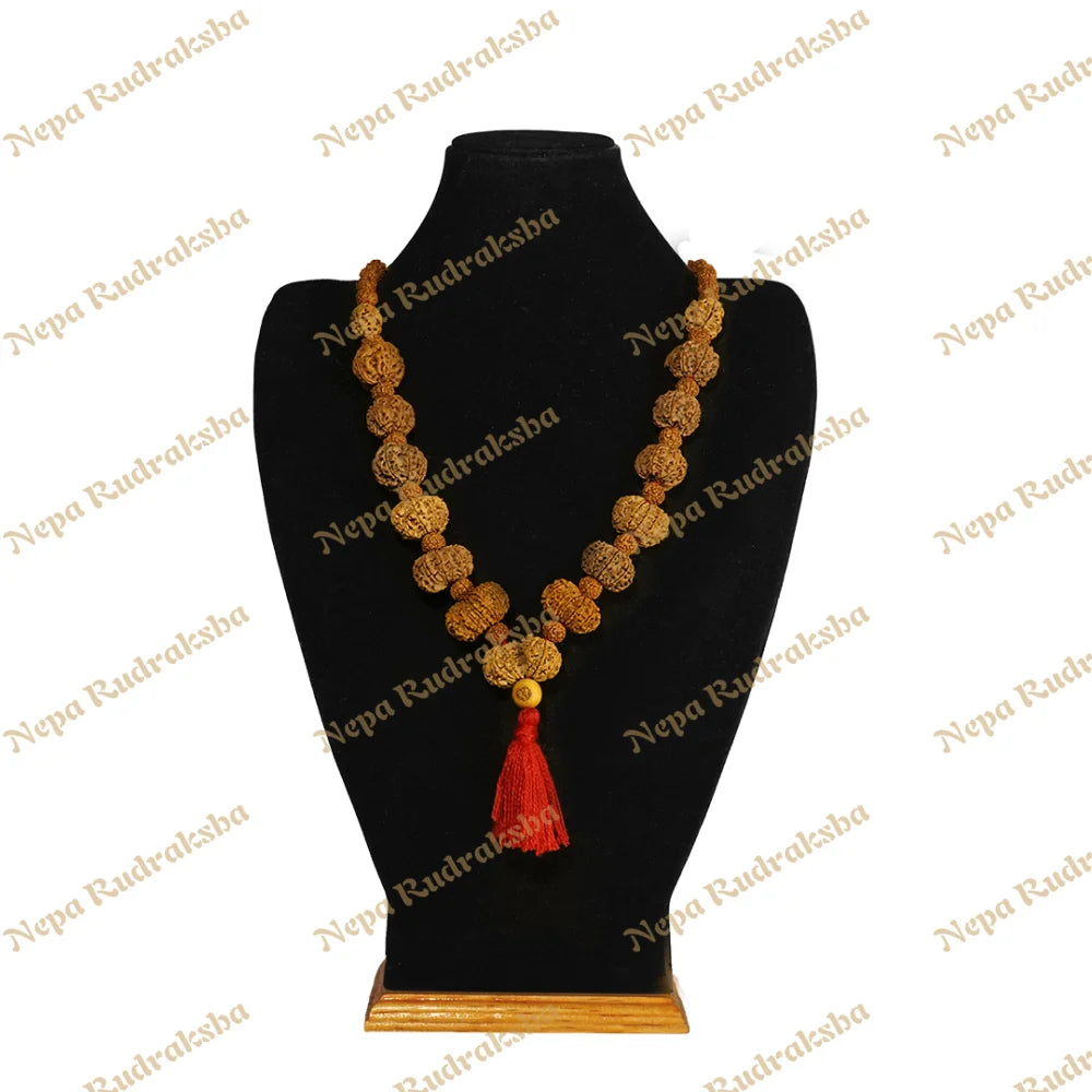No One Mukhi / Regular ($1800) / On Red Thread