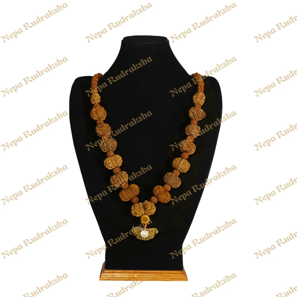 One Mukhi Moon Shape (India) / Medium ($2400) / On Red Thread