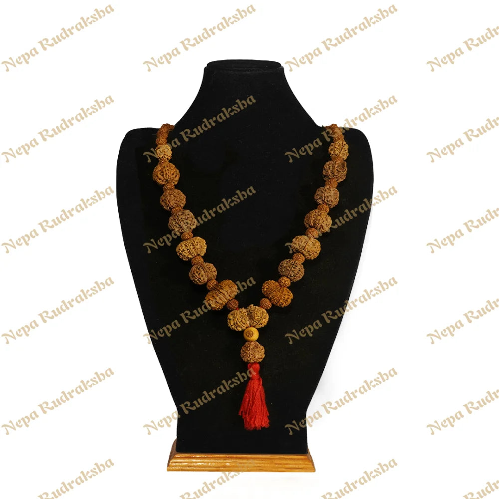 One Mukhi Round (Under-Developed) / Collector ($3300) / On Red Thread