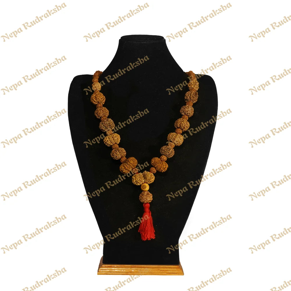 One Mukhi Round (Under-Developed) / Medium ($2400) / On Red Thread