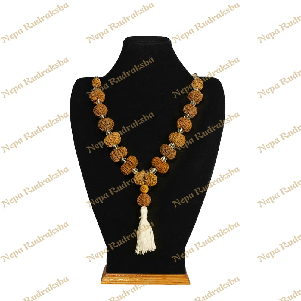One Mukhi Round (Under-Developed) / Medium ($2400) / Sphatik with Thread