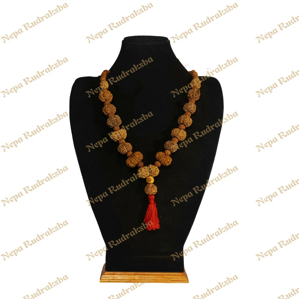 One Mukhi Round (Under-Developed) / Regular ($1800) / On Red Thread