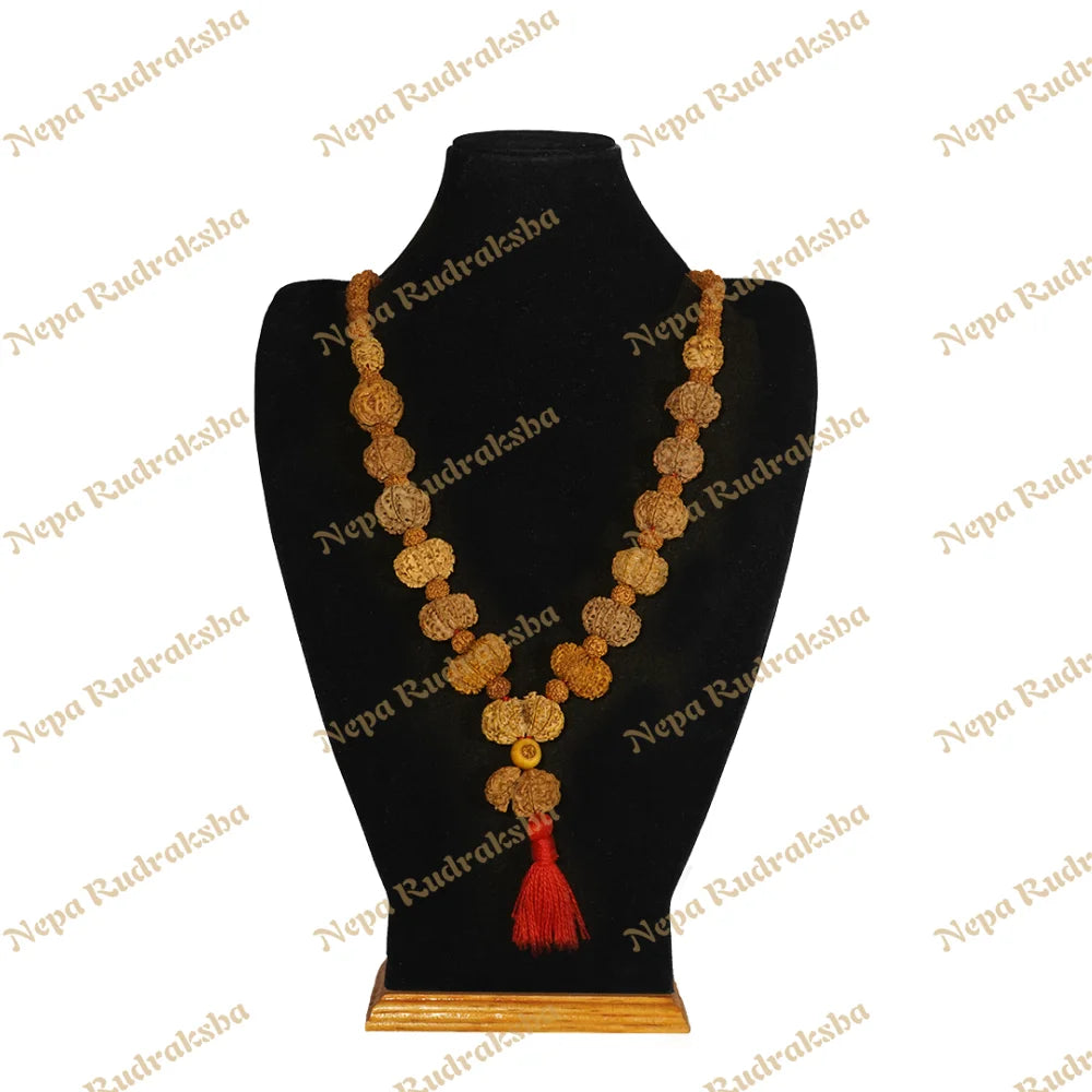 One Mukhi Savar / Collector ($3300) / On Red Thread