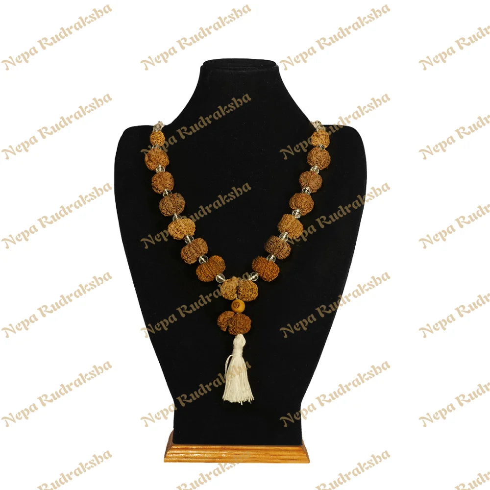 One Mukhi Savar / Medium ($2400) / Sphatik with Thread