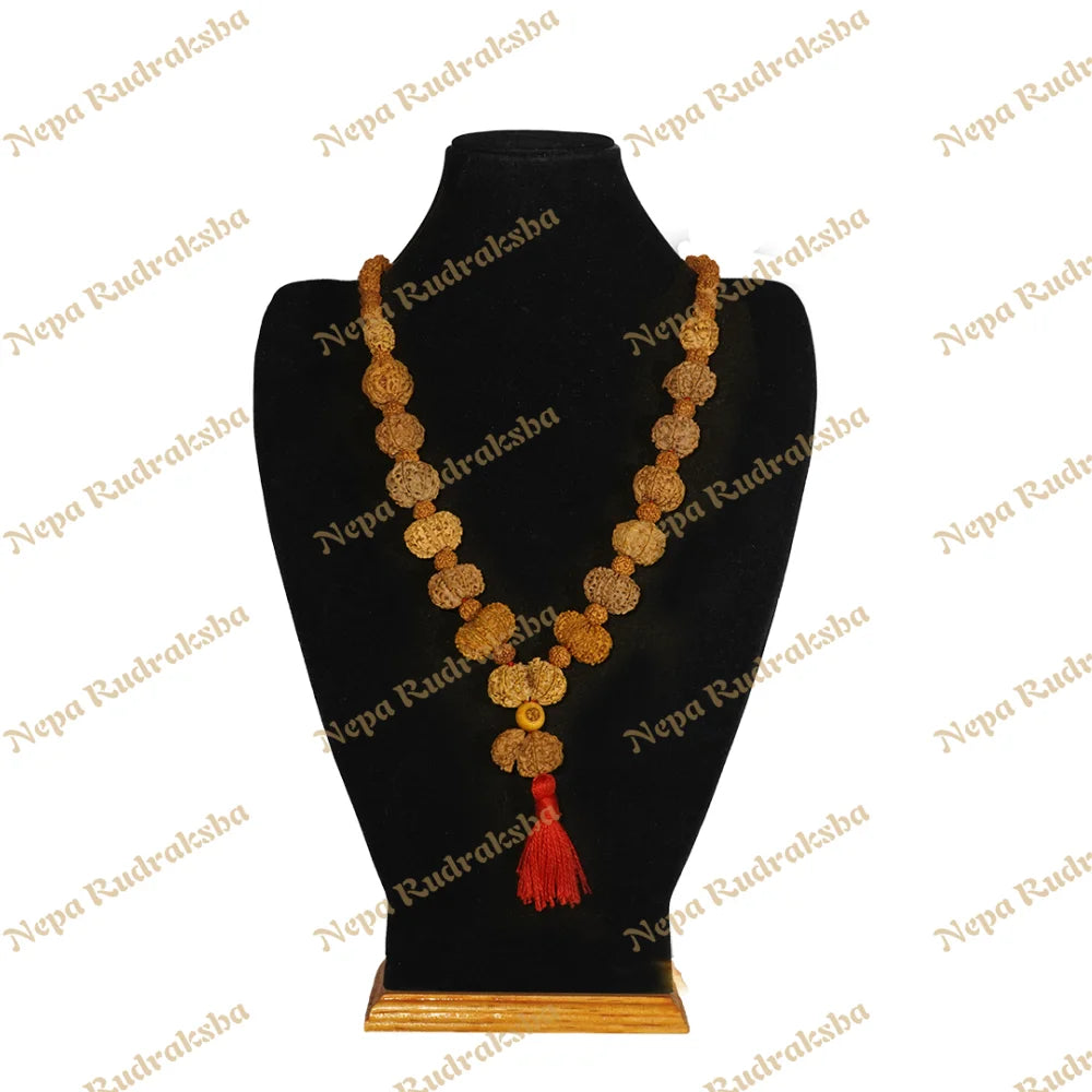 One Mukhi Savar / Regular ($1800) / On Red Thread
