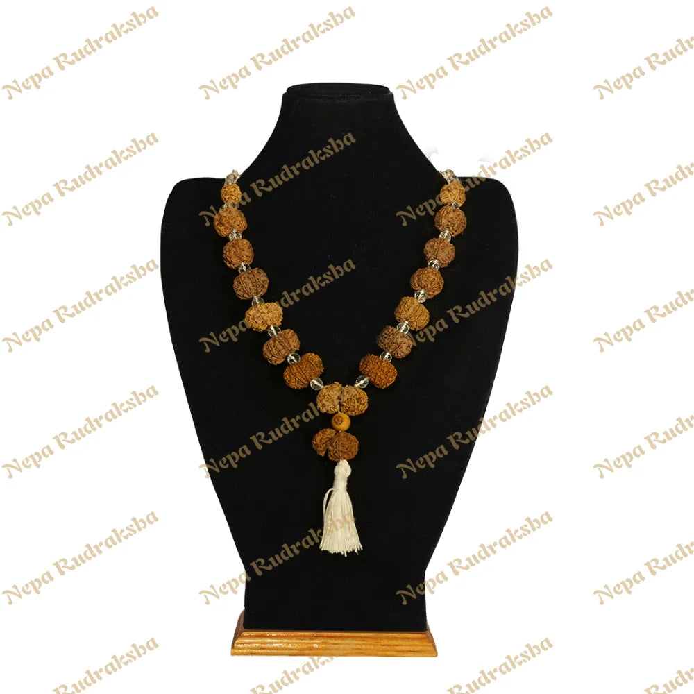 One Mukhi Savar / Regular ($1800) / Sphatik with Thread