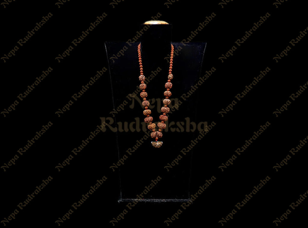 Siddha Mala (Economy)