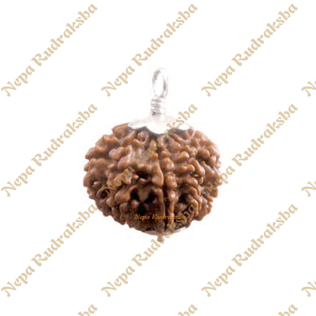 Six Mukhi (701RMS)