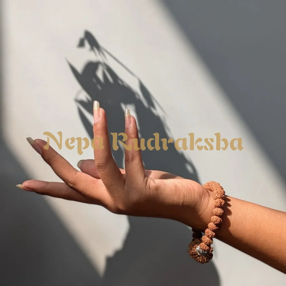 Without Spathik / Rudraksha Prana Pratishtha Energization ($299)