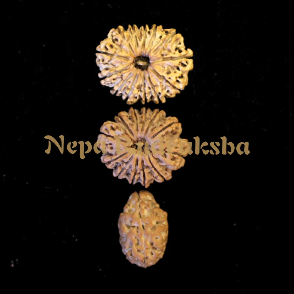 Vak Shuddhi Combination (Communication and persuasion)