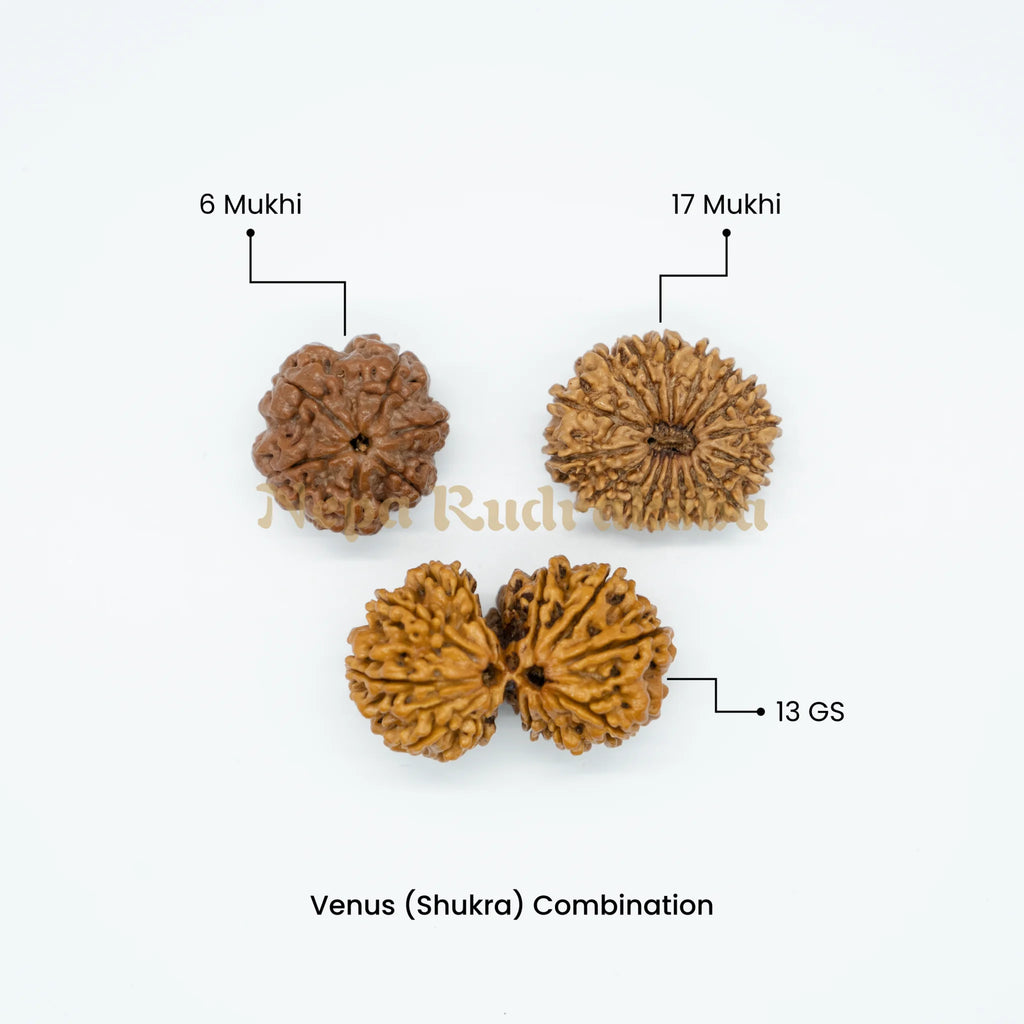 Venus (Shukra) Combination