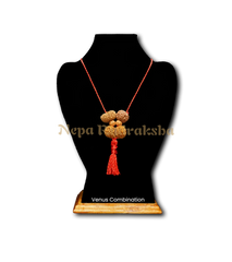Venus (Shukra) Combination