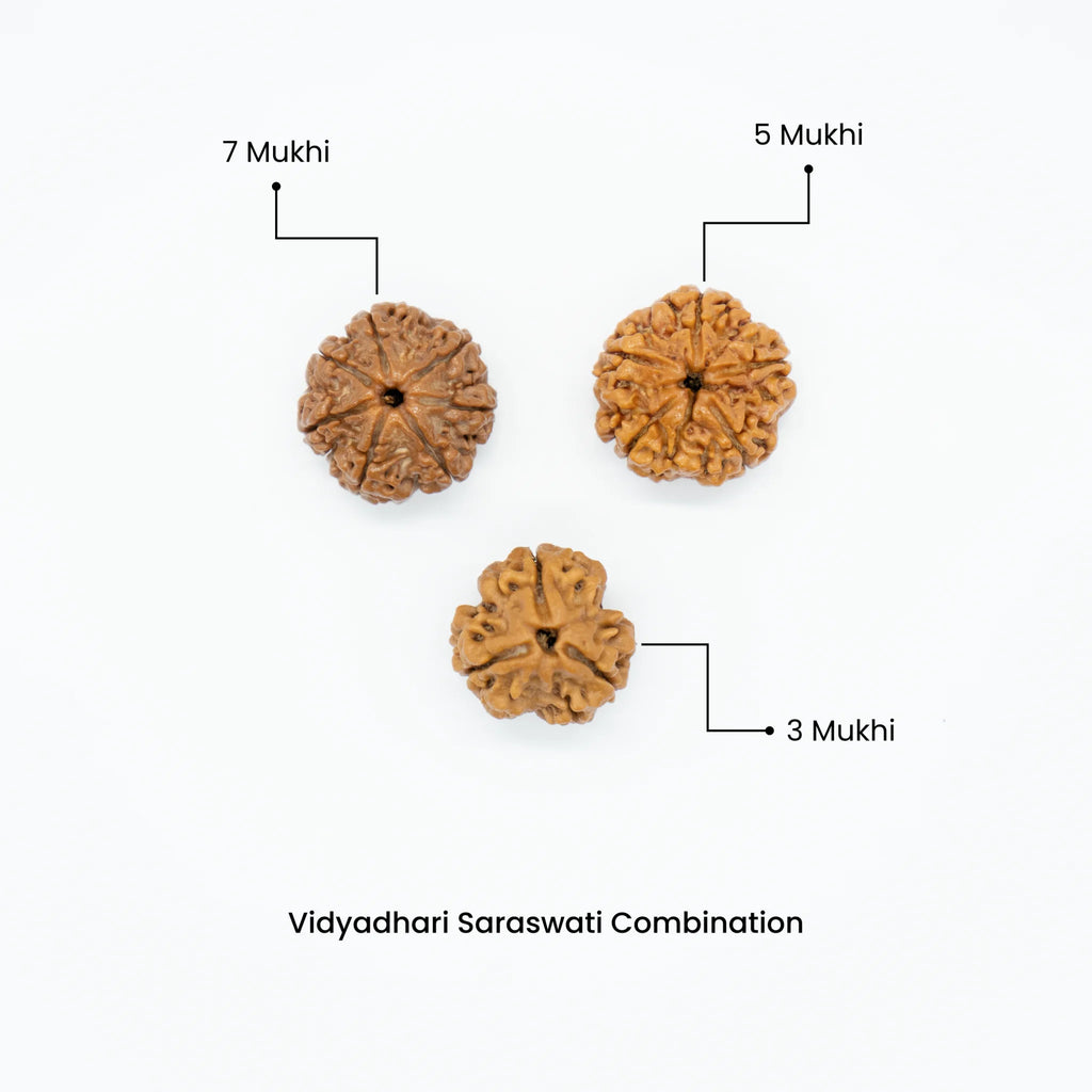 Vidyadhari Saraswati Combination (Knowledge And Wisdom)