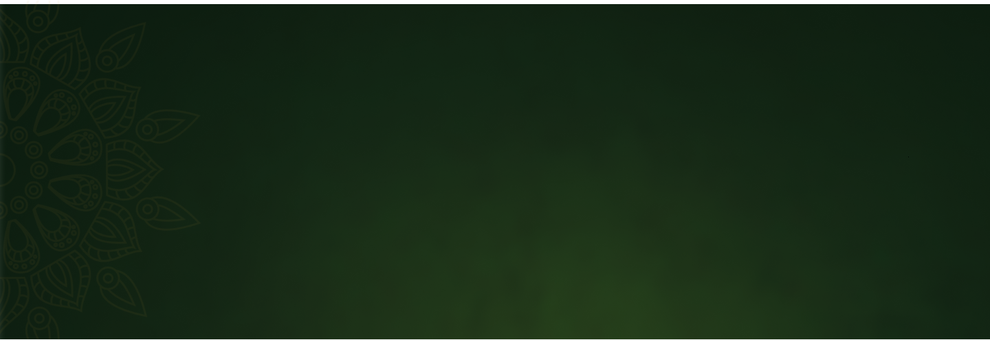Promo banner image